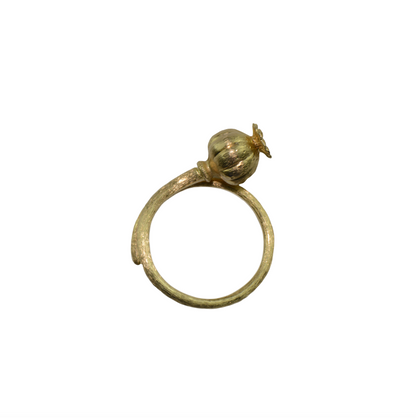 Papaver Somniferum Single Rattle Breadseed Ring