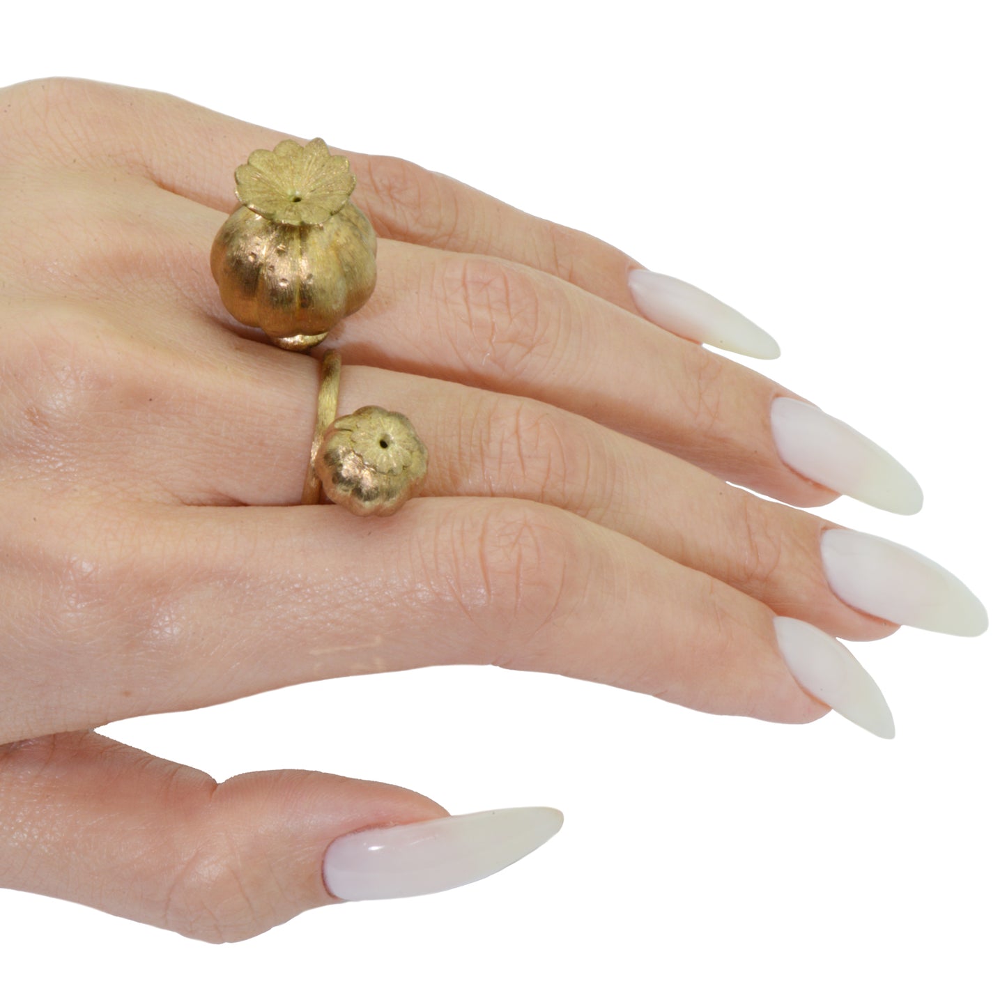 Papaver Somniferum Giant Rattle Breadseed Ring