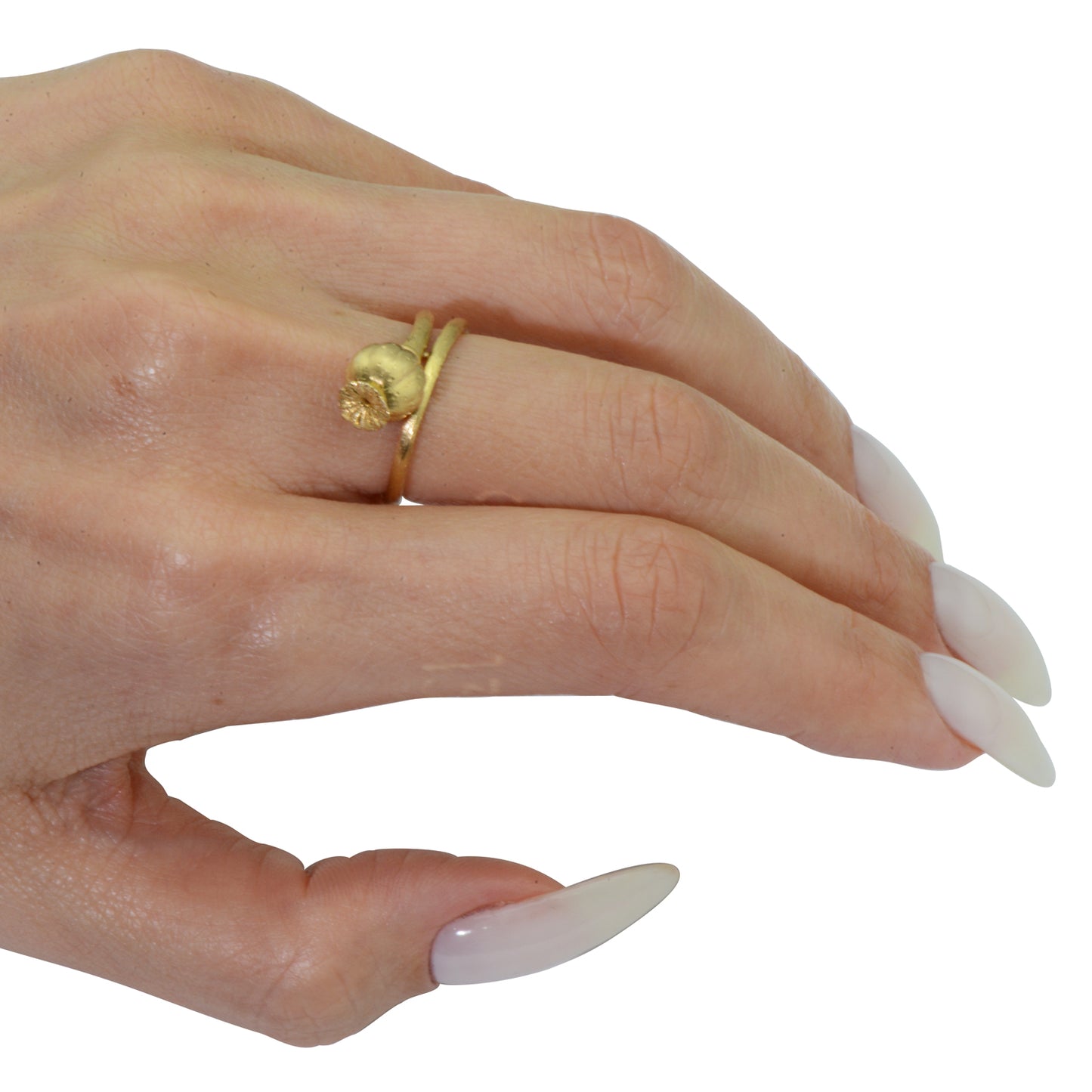 Papaver Somniferum Single Rattle Breadseed Ring